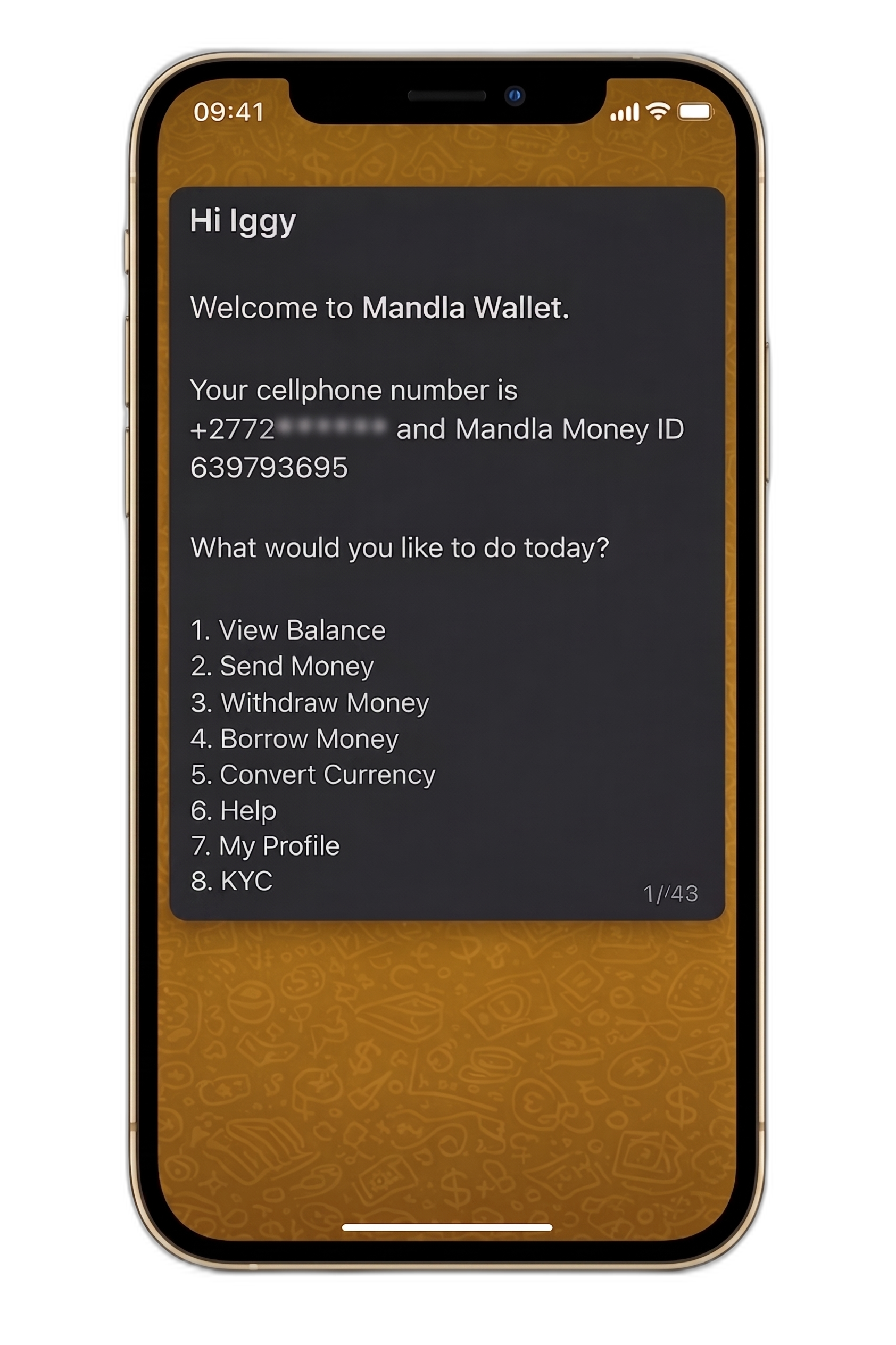Mandla Money mobile wallet view